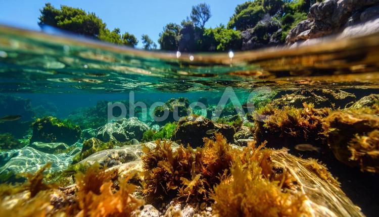 海中から見る岩場の海岸 海,岩場,自然の写真素材