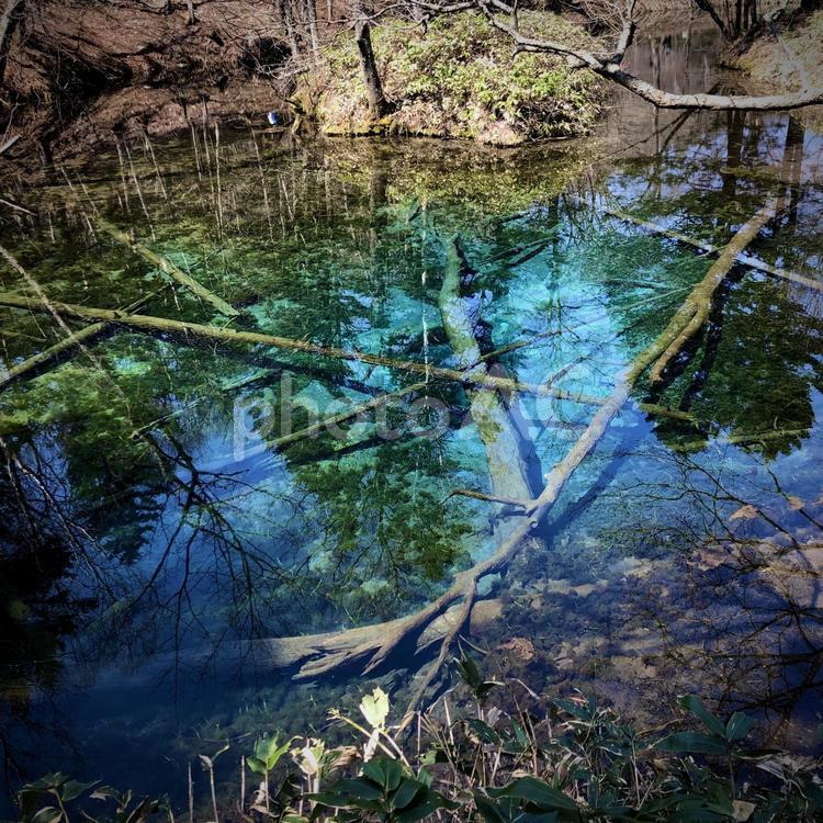 エメラルドの神の子池 摩周湖,北海道,阿寒摩周国立公園の写真素材