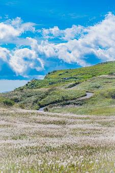 四国地方　四国カルスト台地の風景 カルスト台地,四国,四国地方の写真素材