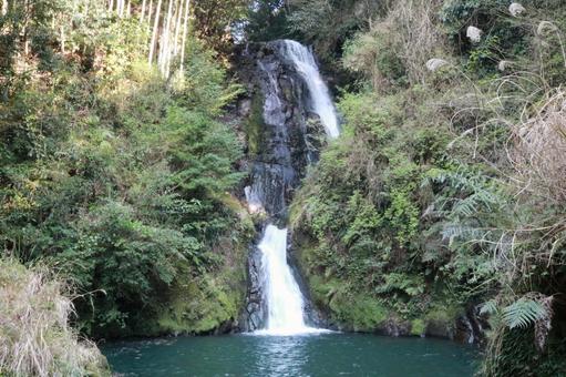 自然のワンショット 自然のワンショットの写真