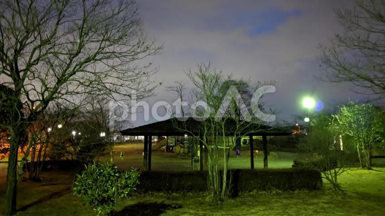 夜の公園と光の競演 夜の公園,夜景,夕焼けの写真素材