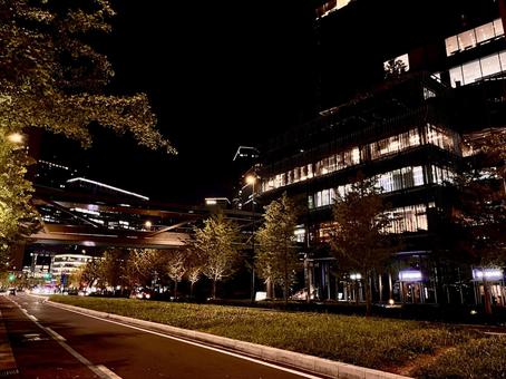 夜の都市の緑 都市,都会,夜の都市の緑の写真素材