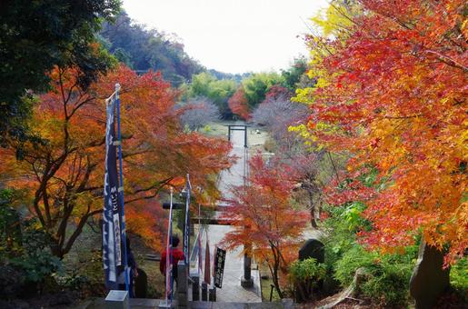 Autumn leaves of Kenchoji Temple (Kamakura City, Kanagawa Prefecture) Autumn leaves of Kenchoji Temple (Kamakura City, Kanagawa Prefecture)