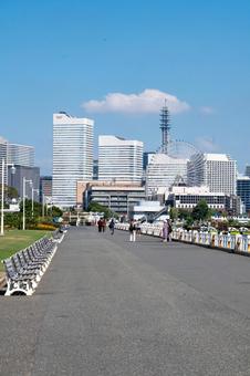 景観フォト 景観フォト 横浜,自然,緑の写真素材