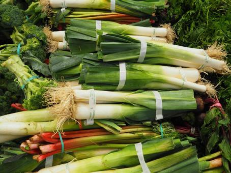 市場で販売されるネギ 市場で販売されるネギ ネギ,野菜,緑黄色野菜の写真素材