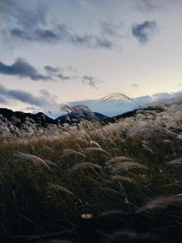 秋の曽爾高原 曽爾高原,ススキ,ライトアップの写真素材
