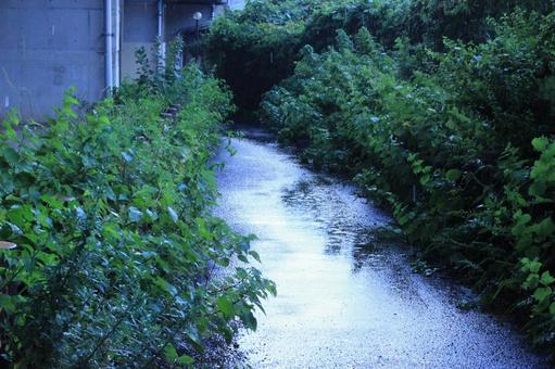 雨の小道 雨の小道 雨の日,雨,小道の写真素材
