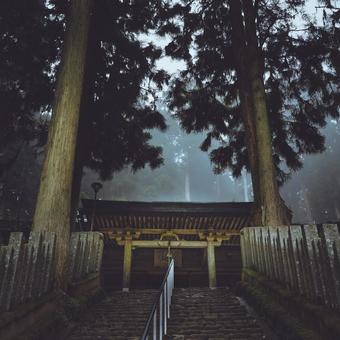 雨中の神社 雨中の神社の写真