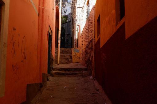 オレンジの写真