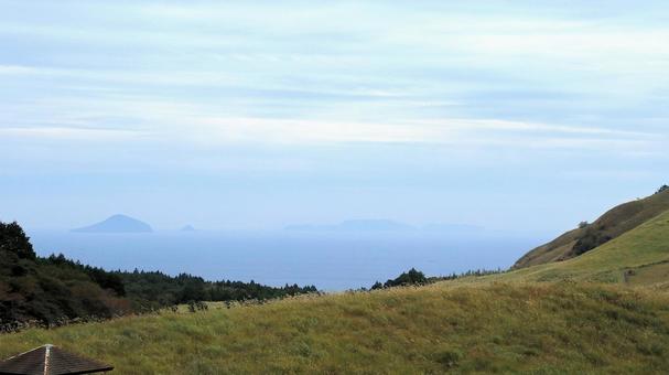 稲取細野高原のすすき野原　12 稲取細野高原,ススキ,秋の写真素材