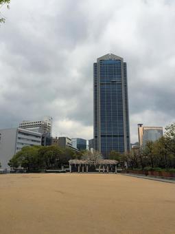 神戸市役所 神戸市役所 神戸市役所,神戸,建物の写真素材
