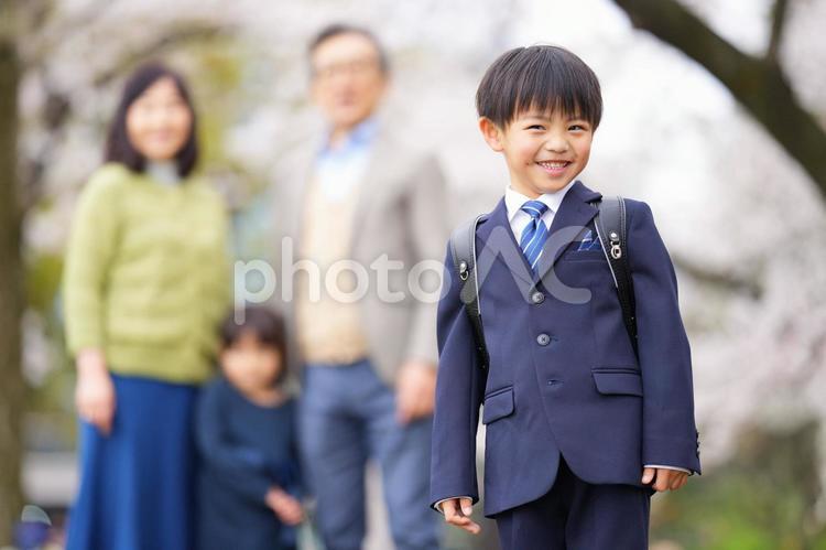 桜の前にいるスーツにランドセルの男の子と妹と祖父母 男の子,女の子,兄妹の写真素材