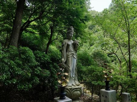 観音立像 観音立像 観音様,立像,修禅寺の写真素材
