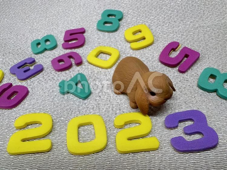 兎とカラフルな数字。2023年の年賀状用 ロップイヤー,卯年,うさぎ年の写真素材