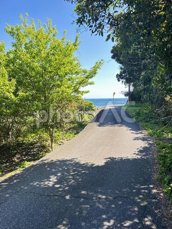 荒船海岸　海岸沿い 串本町の東端,熊野灘沿い,吉野熊野国立公園の写真素材