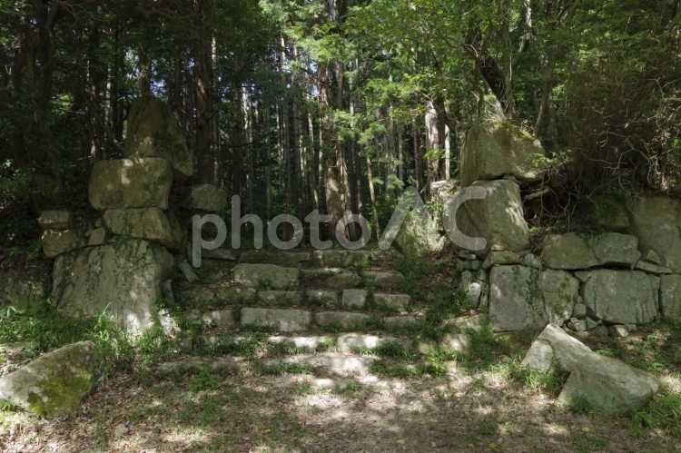 観音寺城の伝平井丸の石垣 観音寺城,お城,城跡の写真素材