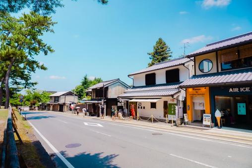 Photo, nara, nara park, 2025, 