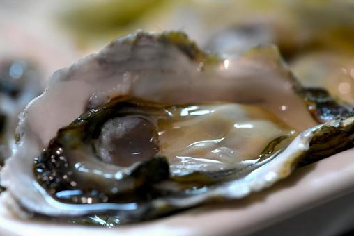 生牡蠣牡蠣 生牡蠣牡蠣
