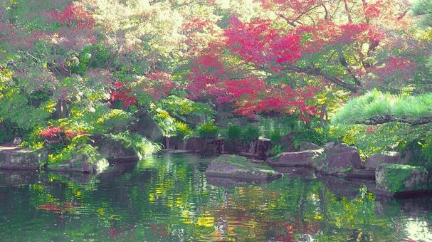 姫路城 好古園9 姫路城,好古園,紅葉の写真素材