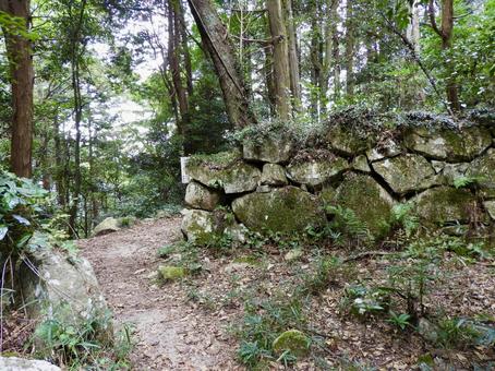 近江観音寺城虎口石垣 近江観音寺城虎口石垣 観音寺城,繖山,近江八幡市の写真素材