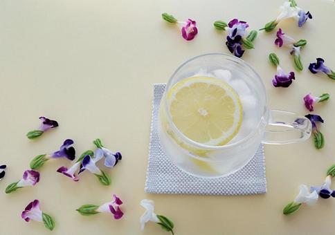華やかなお花と夏のレモンウォーター 華やかなお花と夏のレモンウォーター レモンウォーター,レモン,水の写真素材