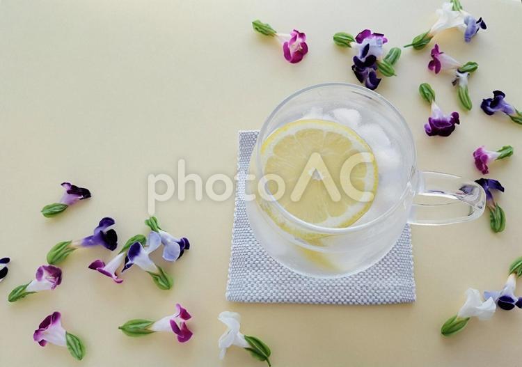 華やかなお花と夏のレモンウォーター レモンウォーター,レモン,水の写真素材