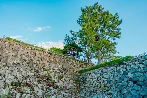 【佐賀】佐賀城跡の周辺 佐賀,城跡,城の写真素材