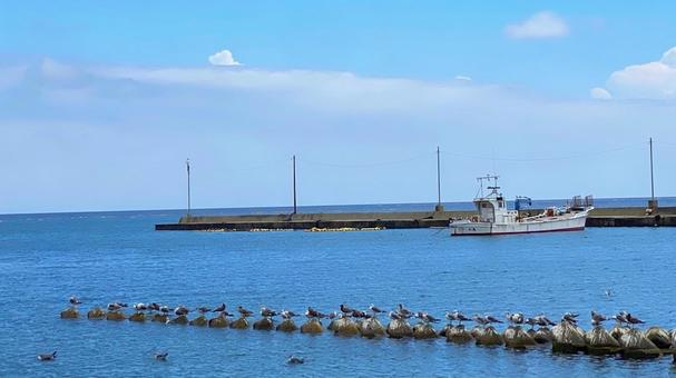 夏の奥能登 内浦の風景:8 夏の奥能登 内浦の風景:8の写真