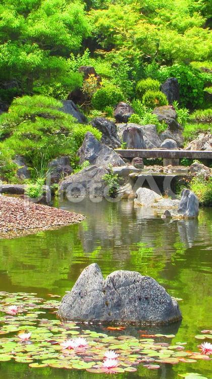 奈良県-當麻寺-奥院-浄土庭園 當麻寺,寺,奥院の写真素材