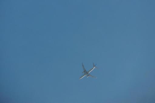 Airborne Noon Airborne Noonの写真