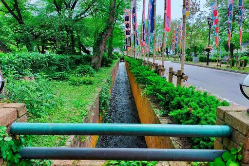 明治百年通り10 明治百年通り10 小坂町,明治百年通り,のぼり旗の写真素材