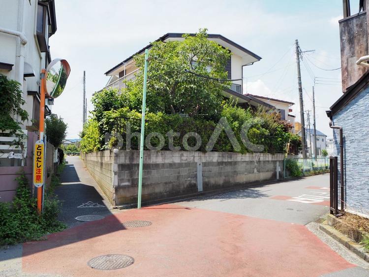 狛江の街並み（東京都・狛江市） 二中通り,狛江市,街並みの写真素材