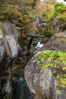 秋の磊々峡⑷ 秋,紅葉,磊々峡の写真素材