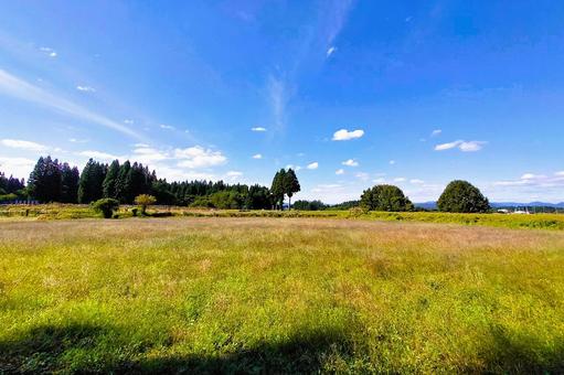 2025年9月の里山33 休耕地,草地,野原の写真素材