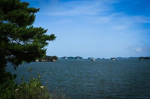 松島 松島 空,海,風景の写真素材