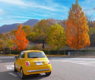 秋の紅葉とイタ車 車,秋,紅葉の写真素材