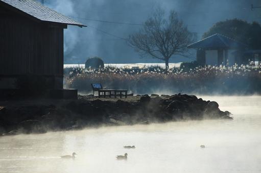熊本県嘉島町 浮島池 熊本県嘉島町 浮島池 浮島池,浮島,池の写真素材