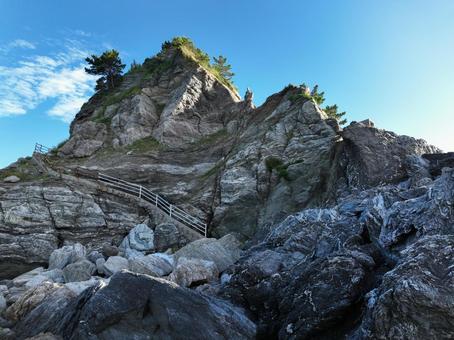Photo, rhinophyma, cape, peninsula, 