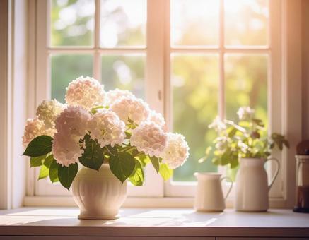 窓辺の白い紫陽花04の写真