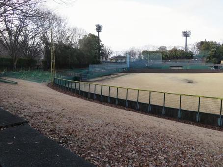 Photo, new japan logistics stadium tama, ipponsugi park baseball stadium, tama city, 