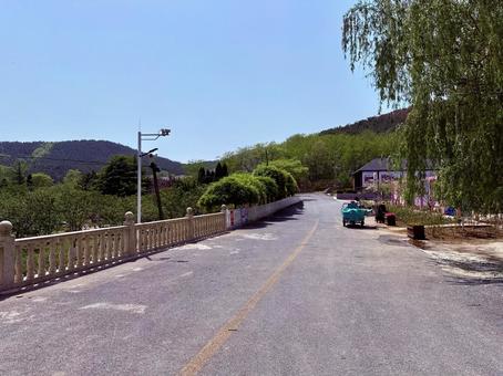 203高地内の道路 203高地内の道路 道路,山道,木漏れ日の写真素材