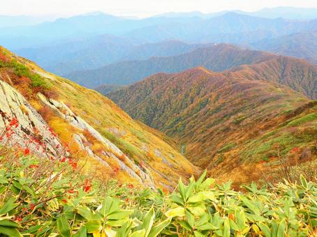 紅葉(越後三山・越後駒ヶ岳) 紅葉(越後三山・越後駒ヶ岳)の写真