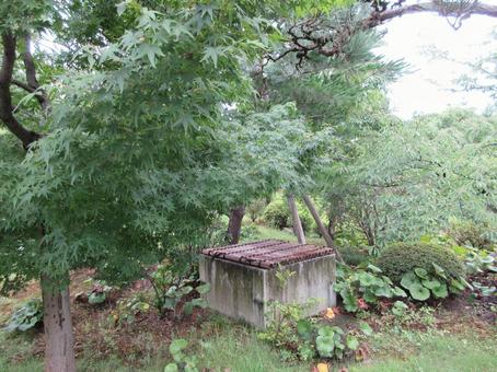 三十三間堂 三十三間堂,蓮華王院本堂,天台宗の写真素材