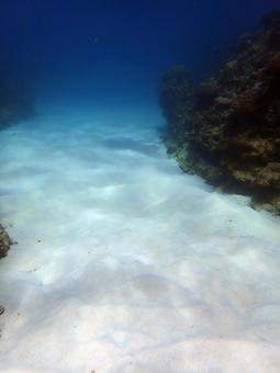 美しい砂地 美しい砂地 海,サンゴ,珊瑚礁の写真素材