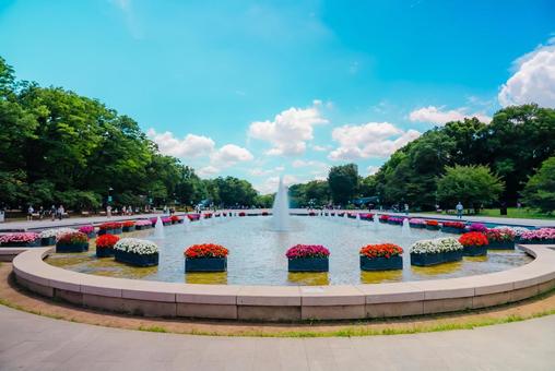 Photo, tokyo, ueno, ueno park, 