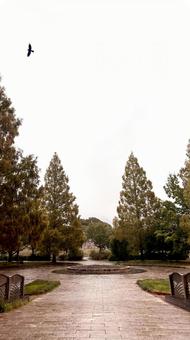 公園の小道の写真