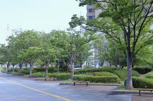 City park scenery (Harumiya Park) No people, JPG City park scenery (Harumiya Park) No people, JPG