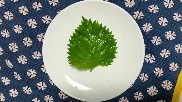青じその葉(大葉) 青じその葉(大葉)の写真