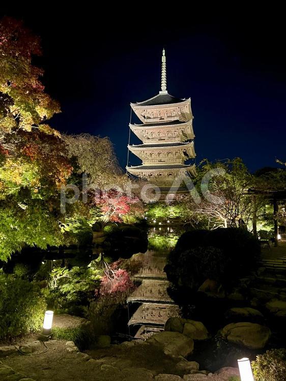 東寺　五重の塔 東寺,五重の塔,五重塔の写真素材