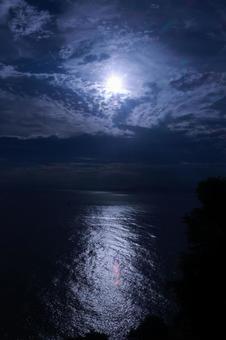 駿河湾 駿河湾の写真